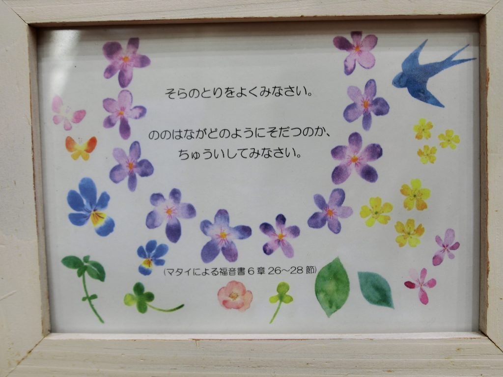 CIMG8603