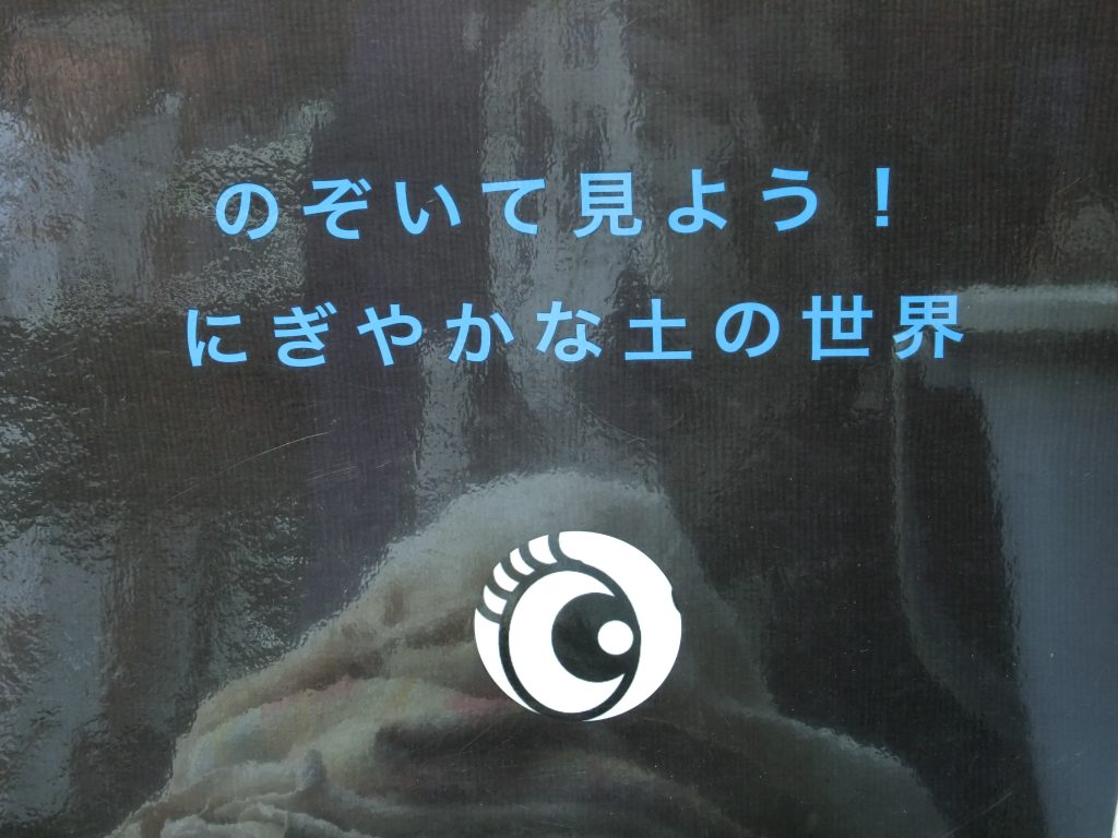 CIMG8775
